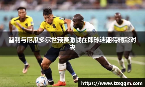 365英国上市：智利与厄瓜多尔世预赛激战在即球迷期待精彩对决